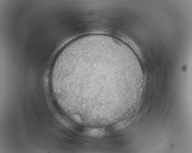 X0000116560155201001211230