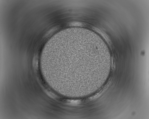 X0000116560157201001211230