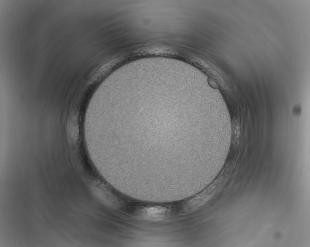 X0000116560158201001211230