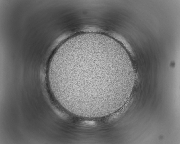 X0000116560159201001211230