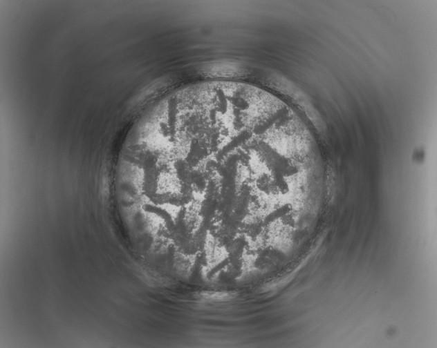 X0000116560161201001211230