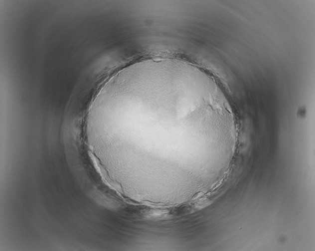 X0000116560162201001211230