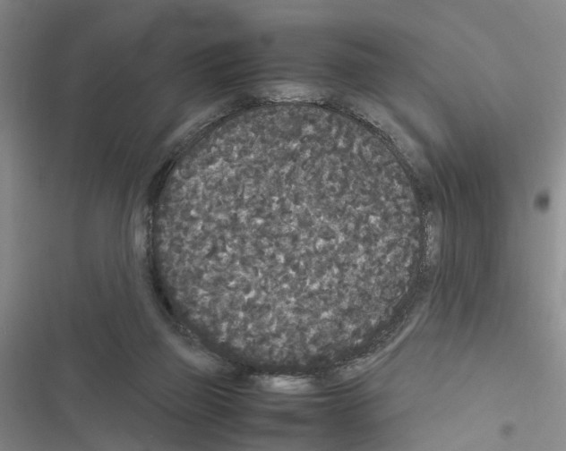 X0000116560165201001211230