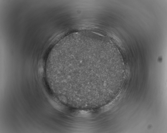 X0000116560166201001211230