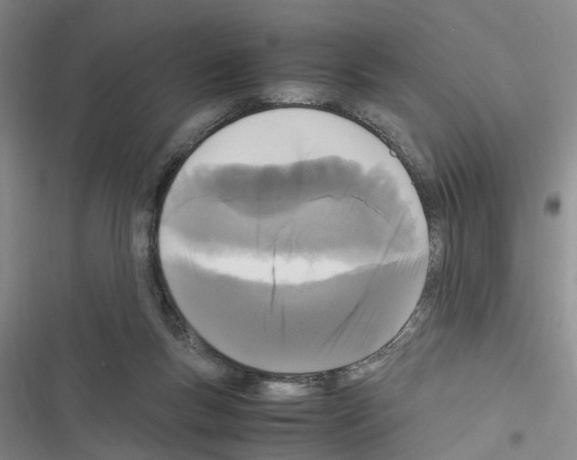 X0000116560167201001211230