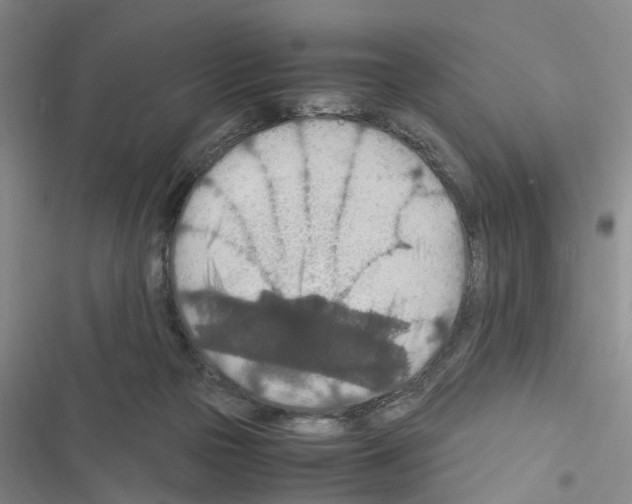 X0000116560169201001211230