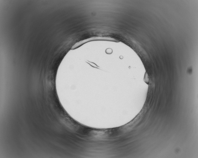 X0000116560170201001211230