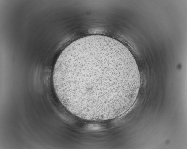 X0000116560171201001211230