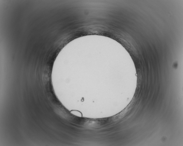 X0000116560174201001211230