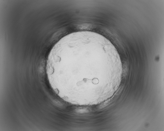 X0000116560175201001211230