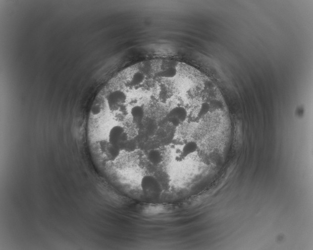 X0000116560177201001211230