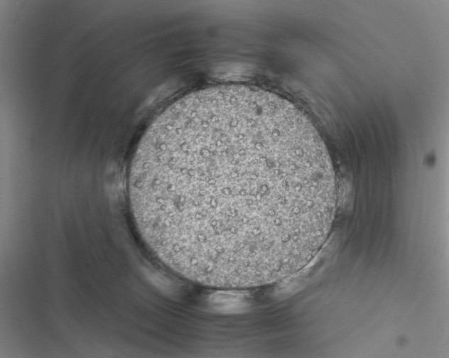 X0000116560179201001211230