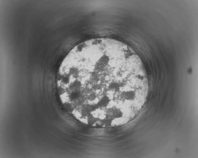 X0000116560182201001211230