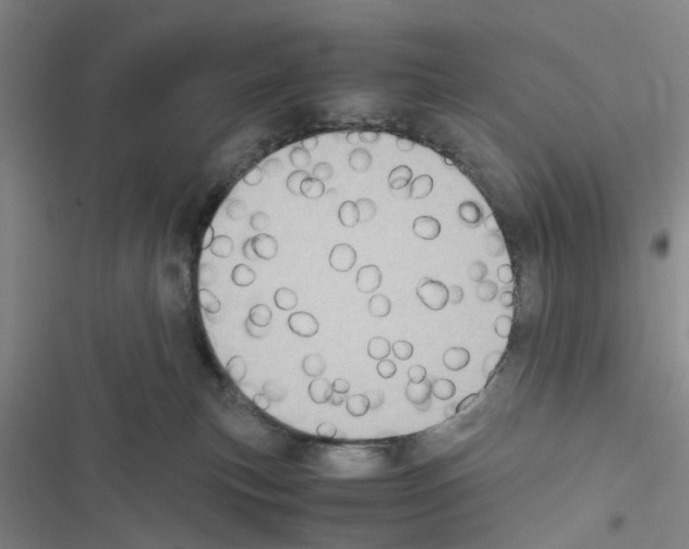 X0000116560183201001211230