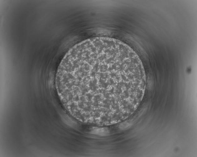 X0000116560185201001211230