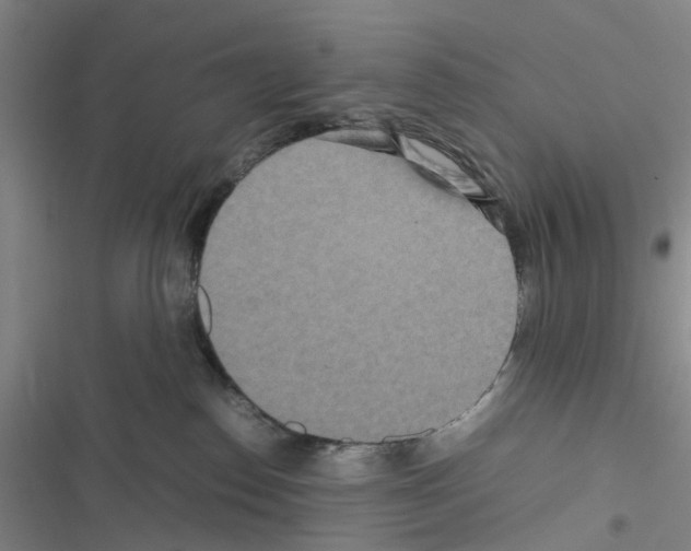 X0000116560186201001211230
