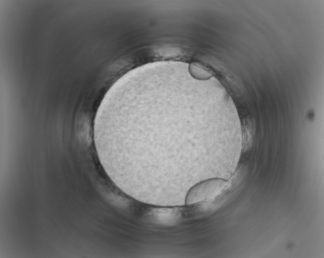 X0000116560187201001211230