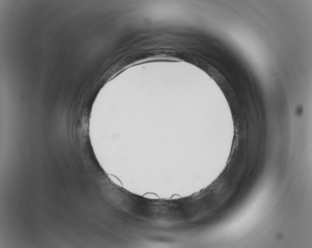 X0000116560190201001211230