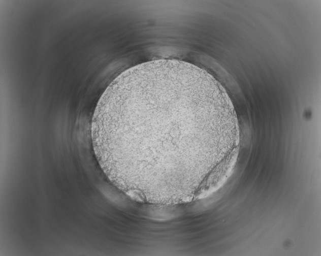 X0000116560191201001211230
