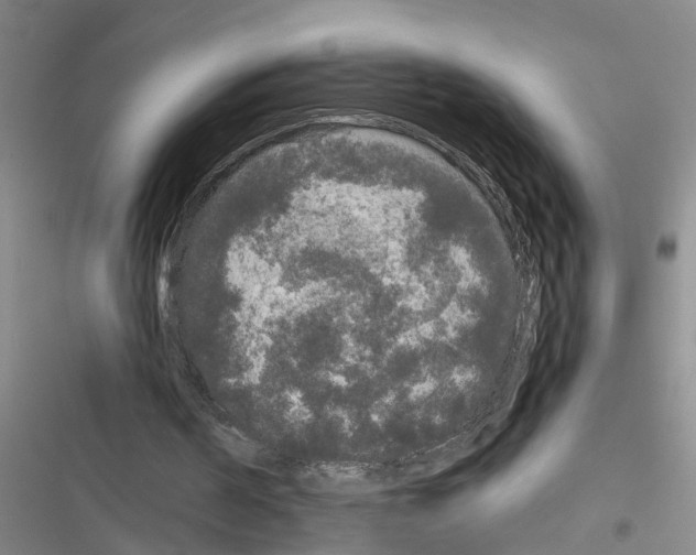 X0000116560194201001211230