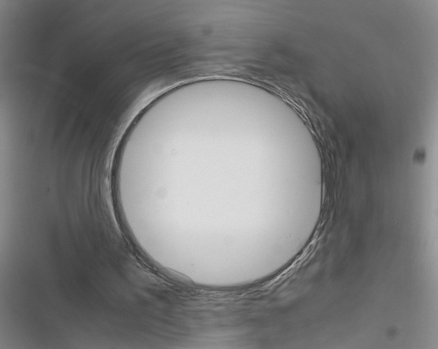 X0000116560195201001211230