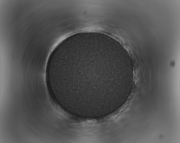 X0000116560196201001211230