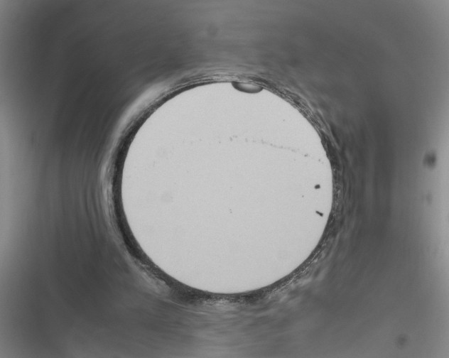 X0000116560197201001211230