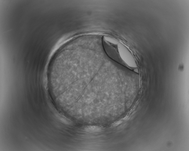 X0000116560198201001211230