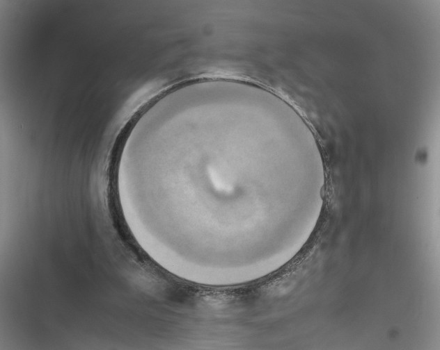 X0000116560199201001211230