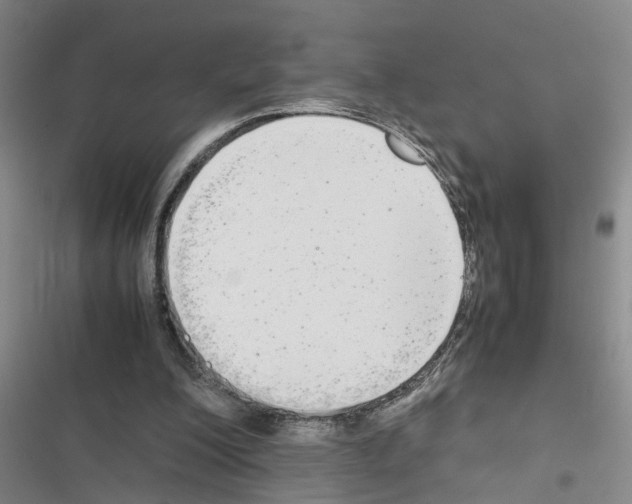 X0000116560200201001211230