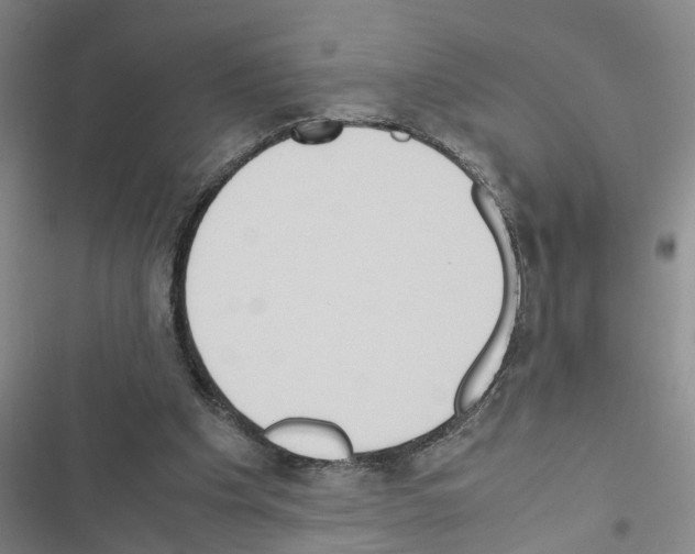 X0000116560201201001211230