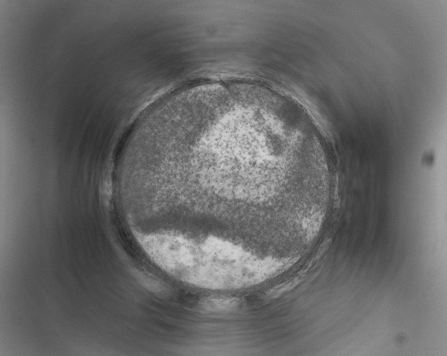X0000116560202201001211230