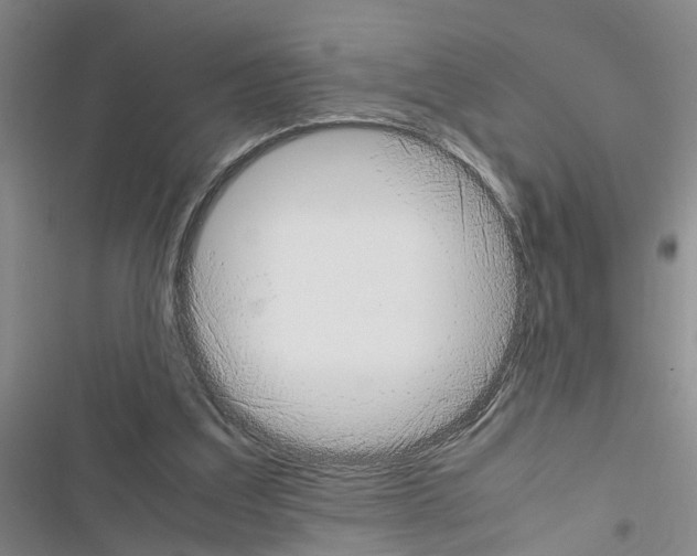 X0000116560203201001211230