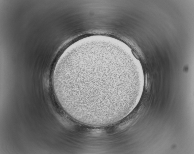 X0000116560204201001211230