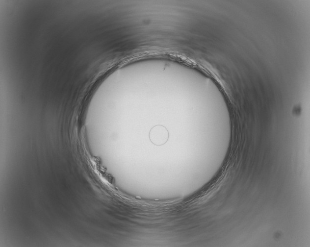 X0000116560205201001211230