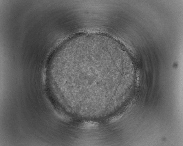 X0000116560206201001211230