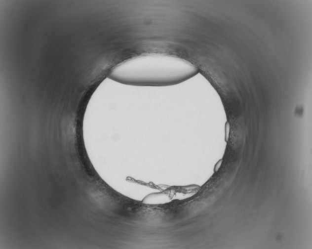 X0000116560207201001211229