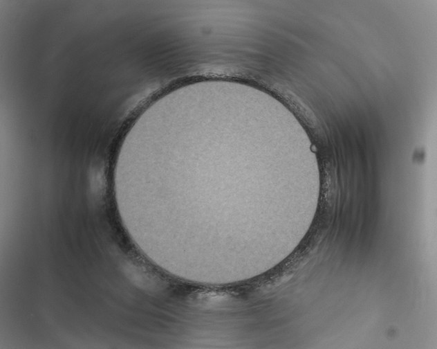X0000116560208201001211229