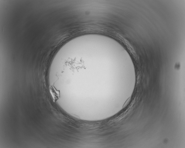 X0000116560209201001211229