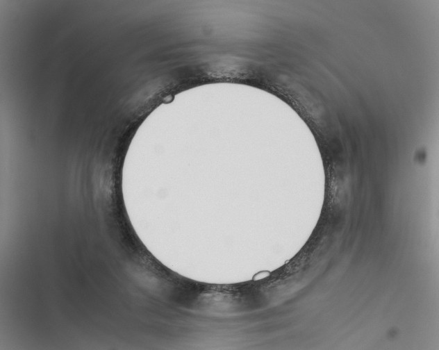 X0000116560211201001211229