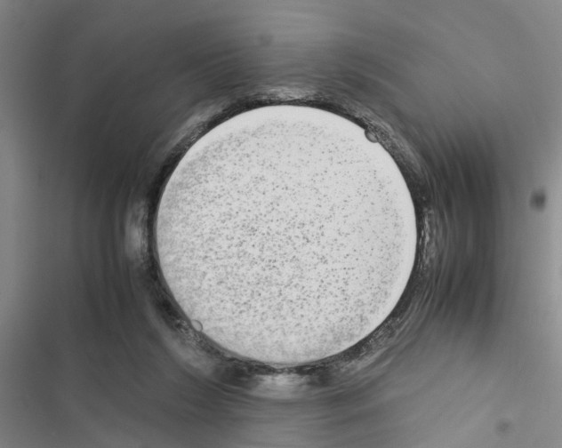 X0000116560212201001211229