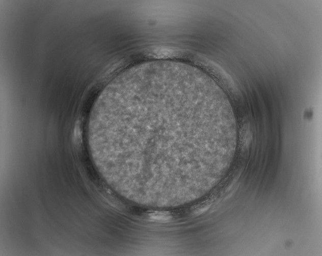 X0000116560214201001211229