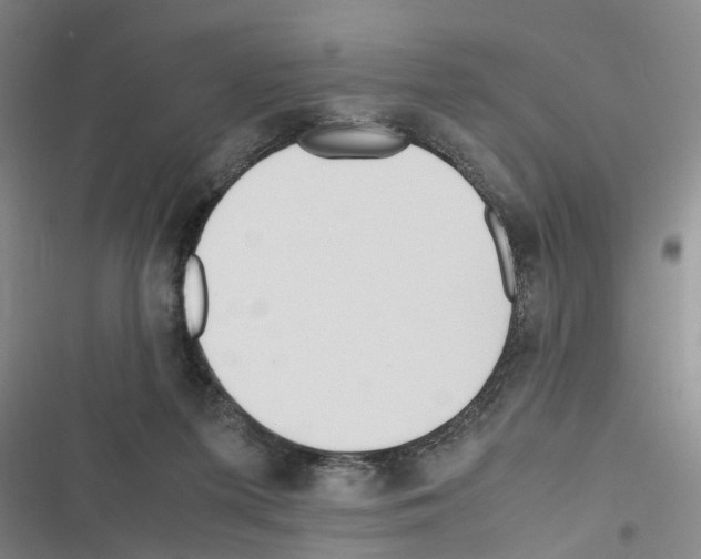X0000116560215201001211229