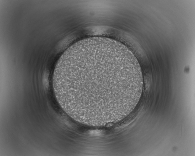 X0000116560216201001211229