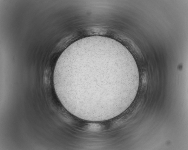 X0000116560218201001211229