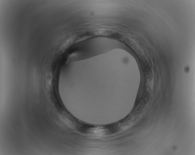X0000116560219201001211229