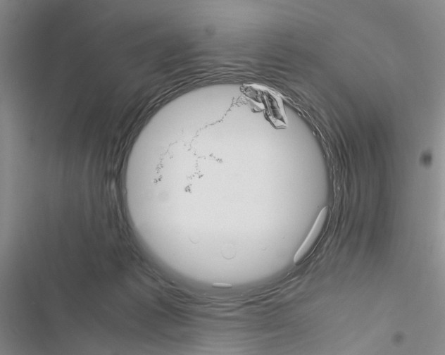 X0000116560221201001211229