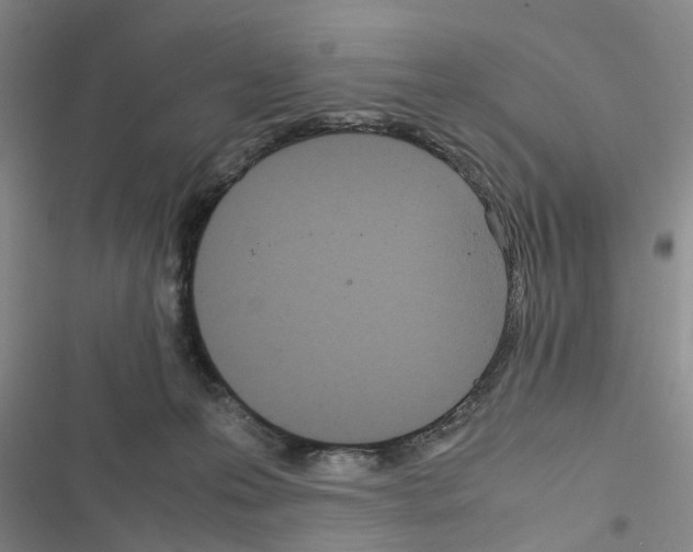 X0000116560223201001211229