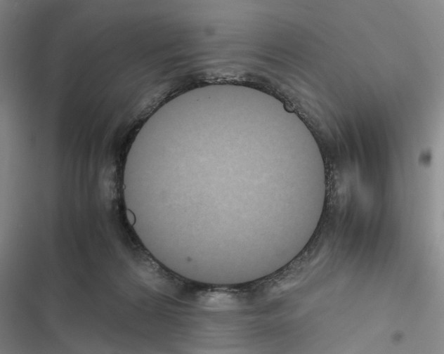 X0000116560224201001211229