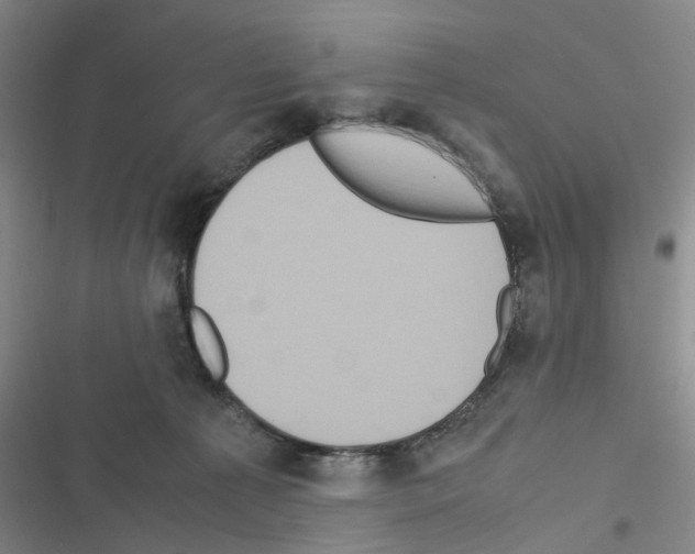 X0000116560225201001211229